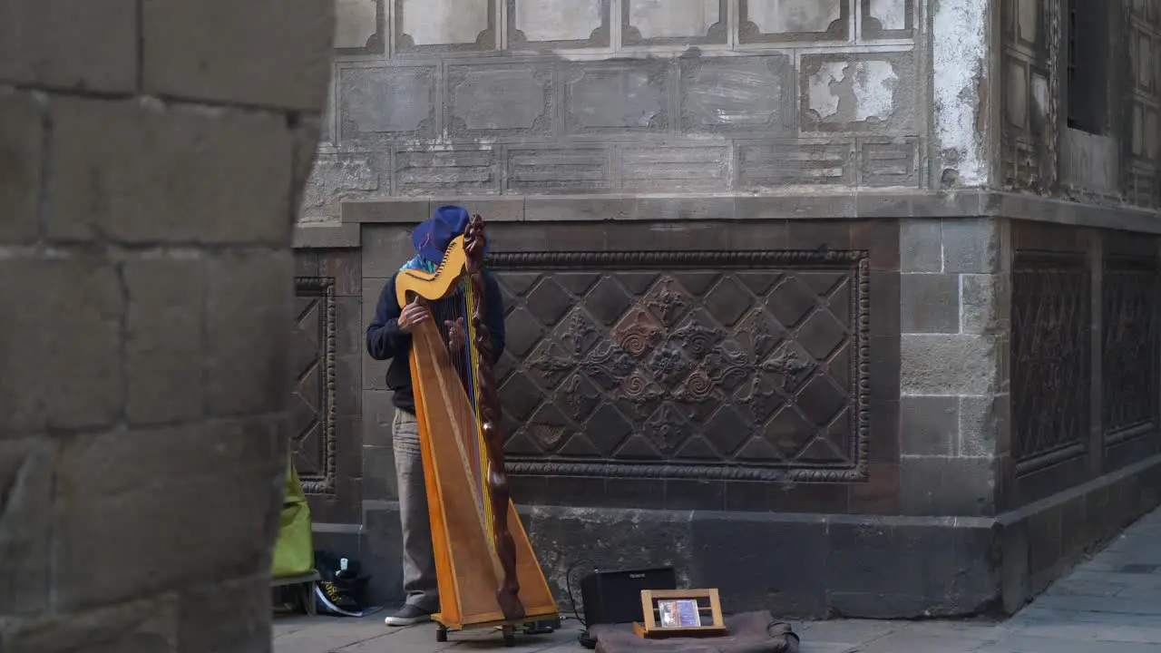 Street Musician Playing Harp in a Corner