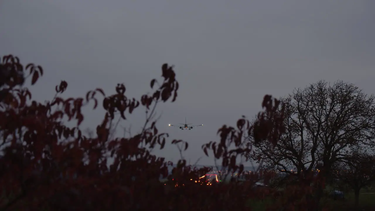 Airplane is landing in the evening view through the branches