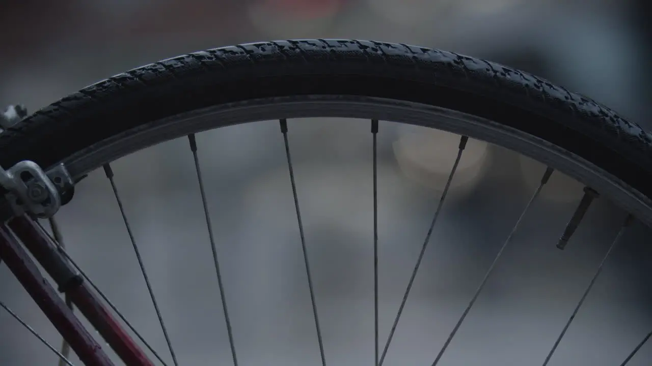 Bike and cars in the street