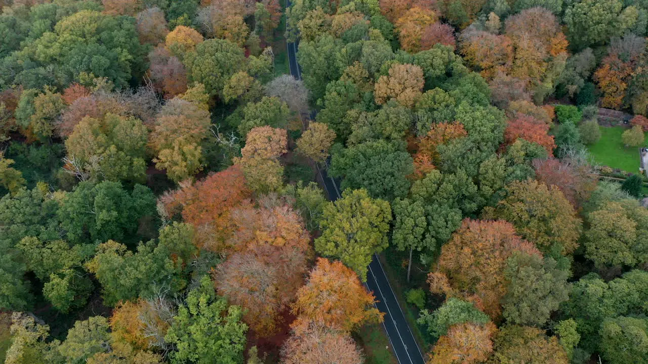 An aerial view of a road running through dense woodland with trees in full autumn colour Worcestershire England