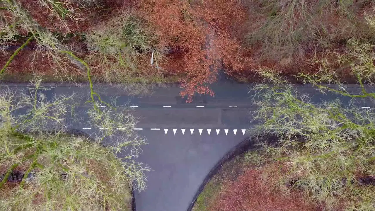 White van driving across a crossroad in the woods