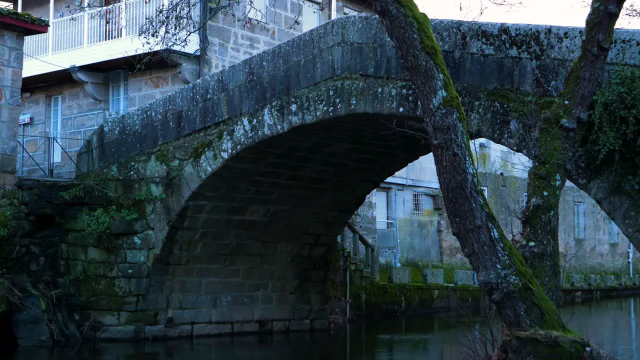 Moss covered old tree bends over river Molgas and Roman bridge with lichen covered stone