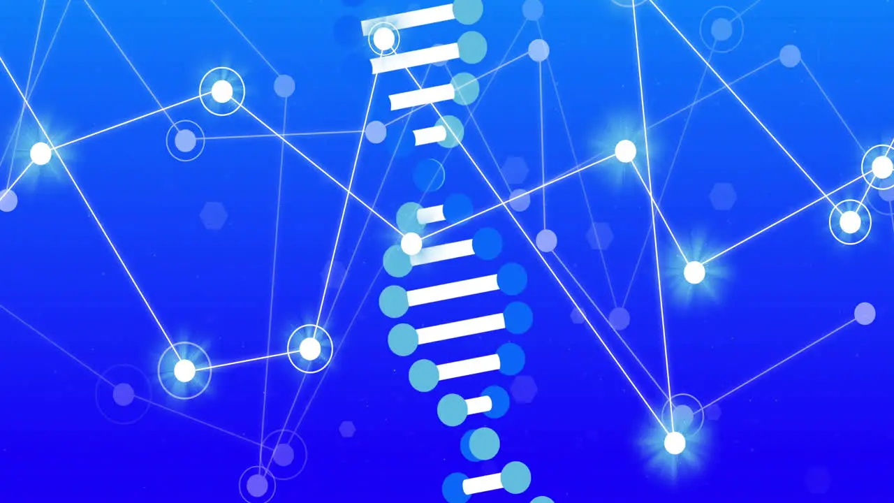 Animation of dna strand and networks of connections