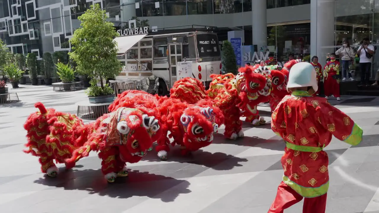 Lion dance Chinese Dragon in street Thailand