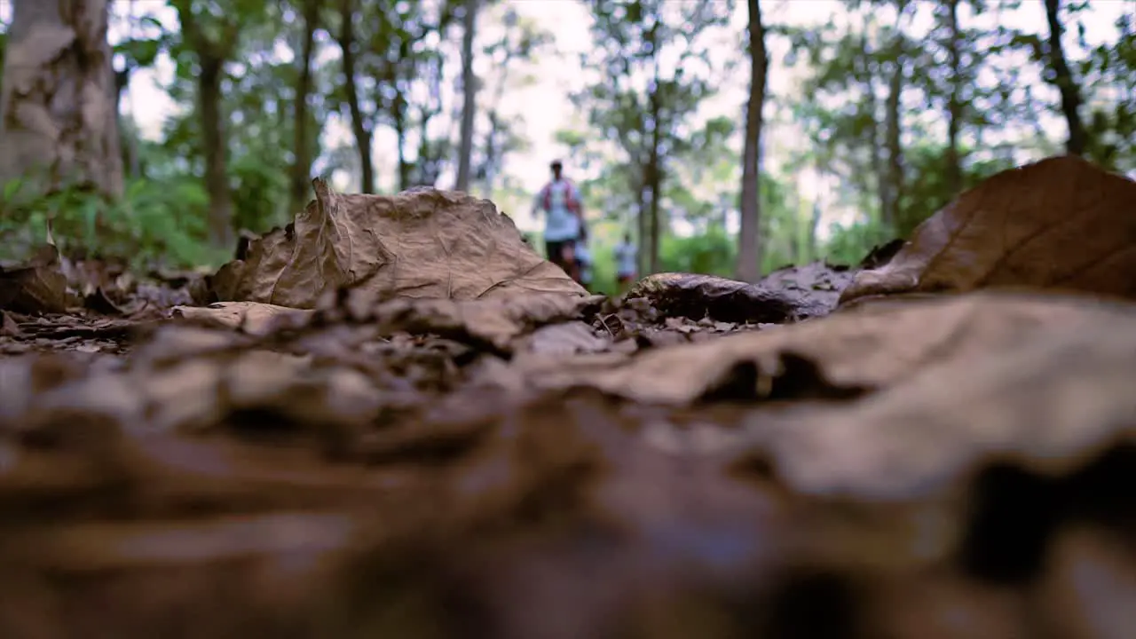 low angle shot of trail runners passing through the woods