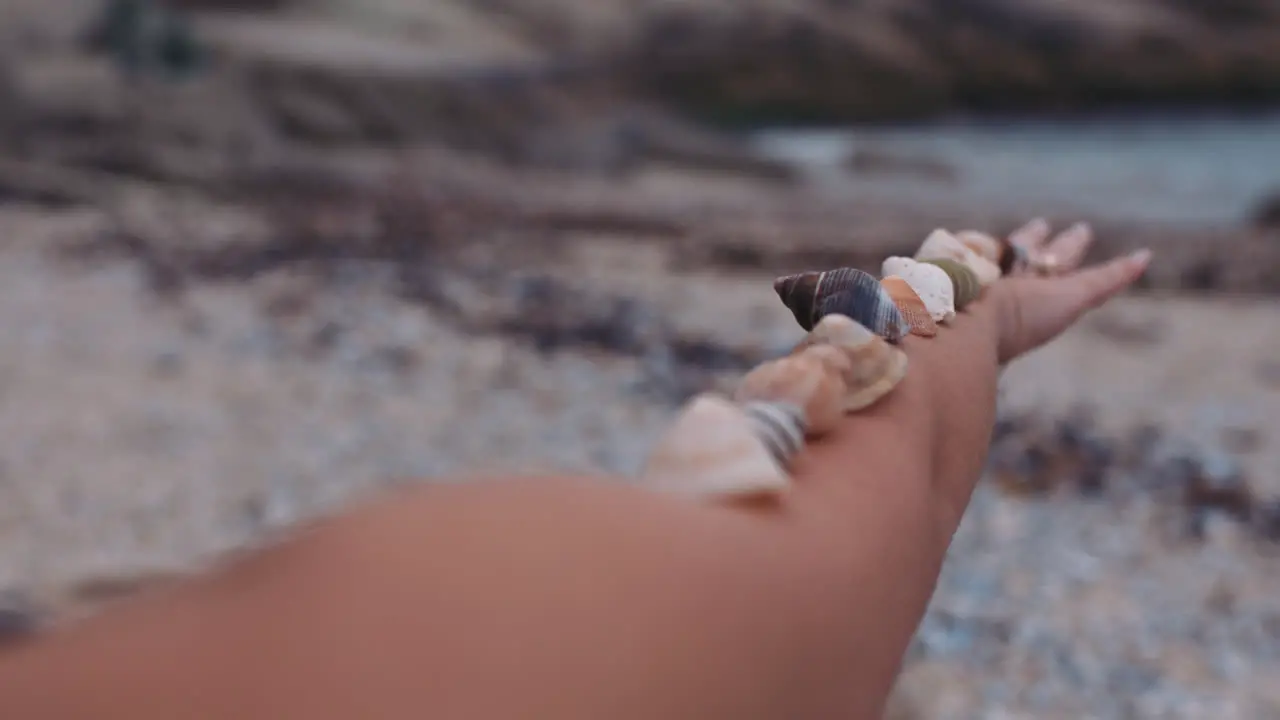 close up woman balancing beautiful seashells on arm enjoying summer vacation