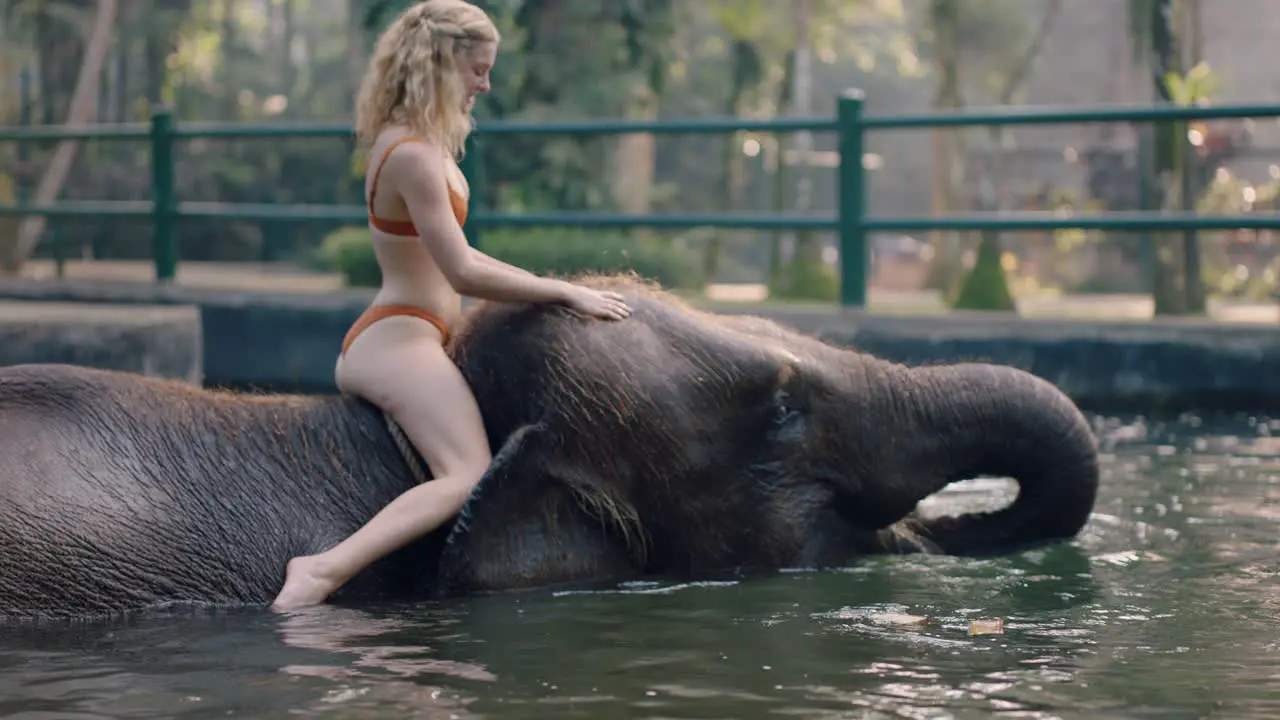 beautiful woman riding elephant in zoo playing in pool splashing water female tourist having fun on exotic vacation in tropical forest sanctuary