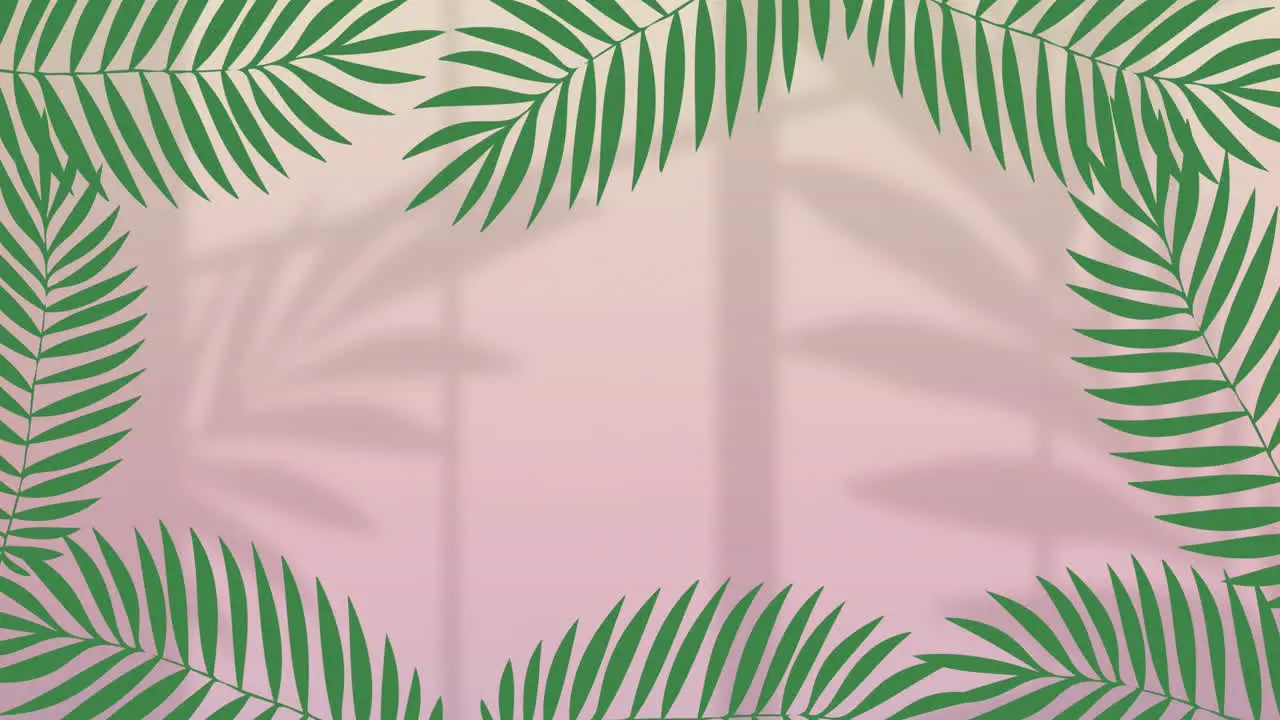 Animation of green leaves over moving shadows on pink background