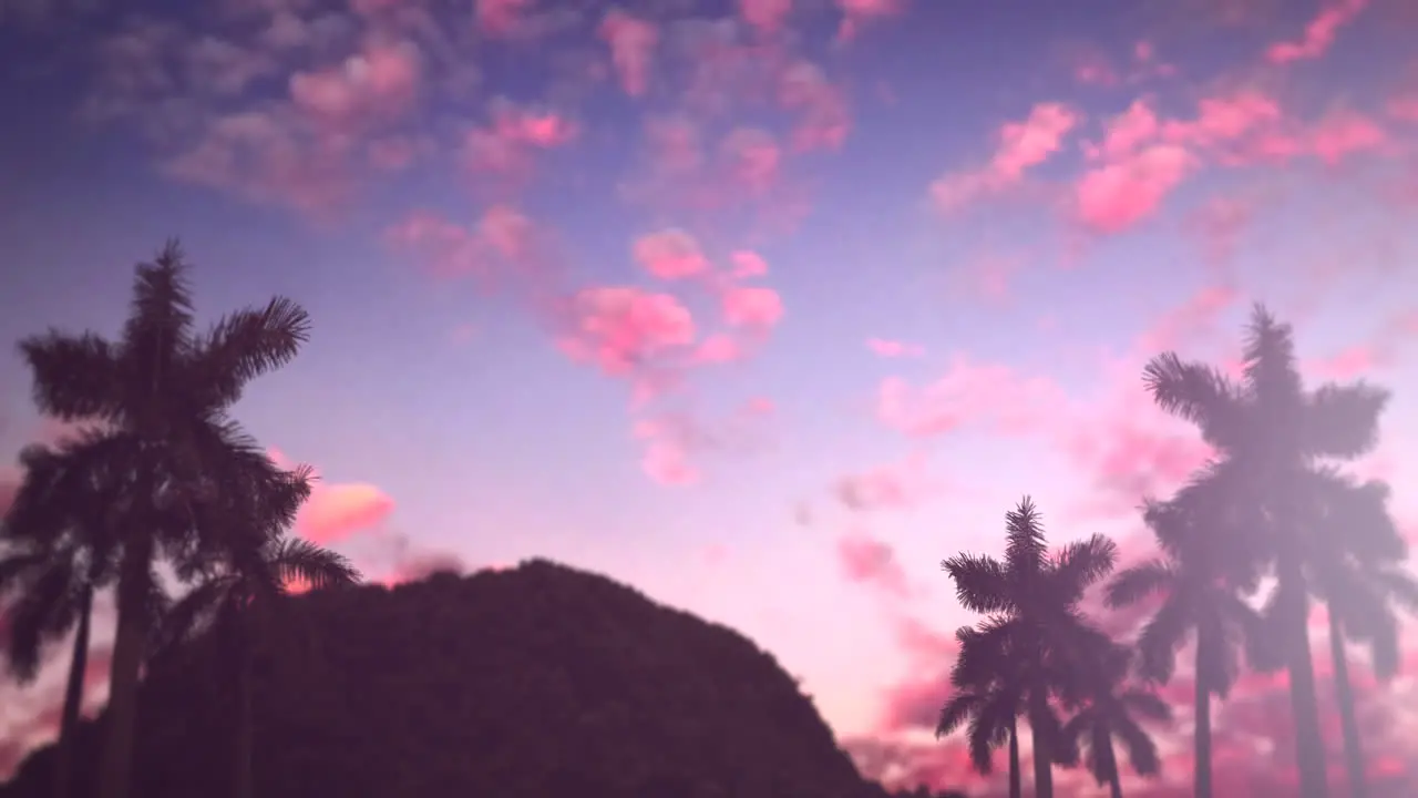 Tropical landscape and mountain with palms in sunset