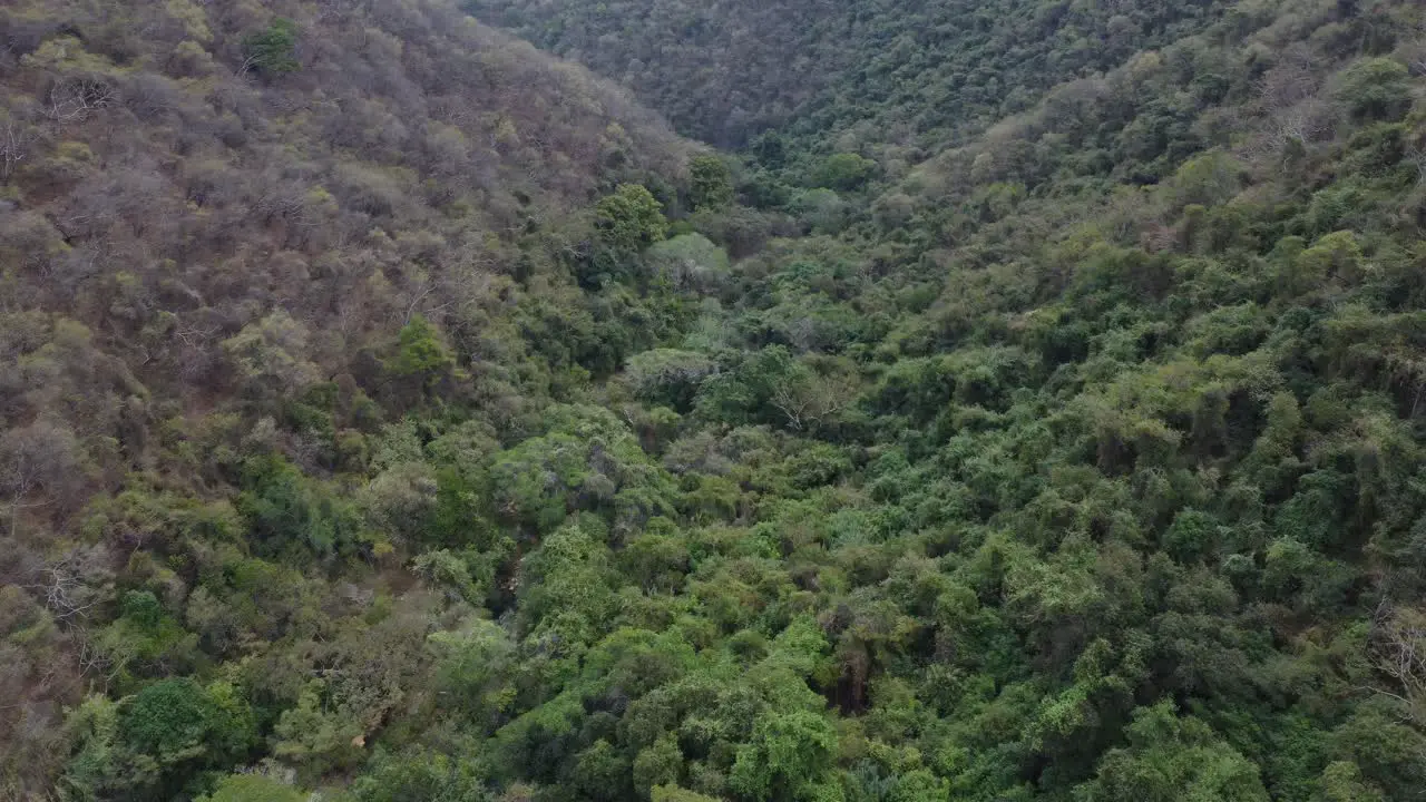 Beautiful drone video in The national park in Taxco Mexico while visiting the waterfall