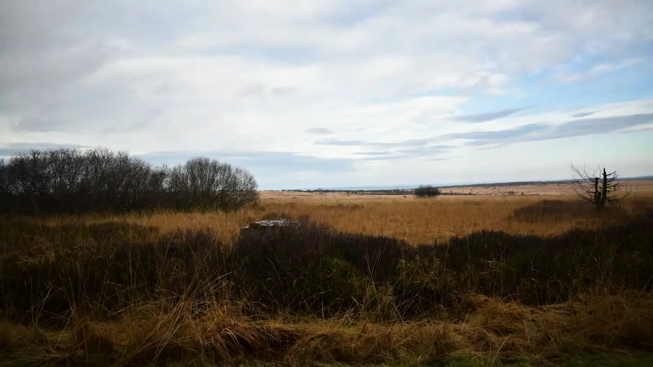 Cloudscape and grass on windy day timelapse ir moorland in High Fens