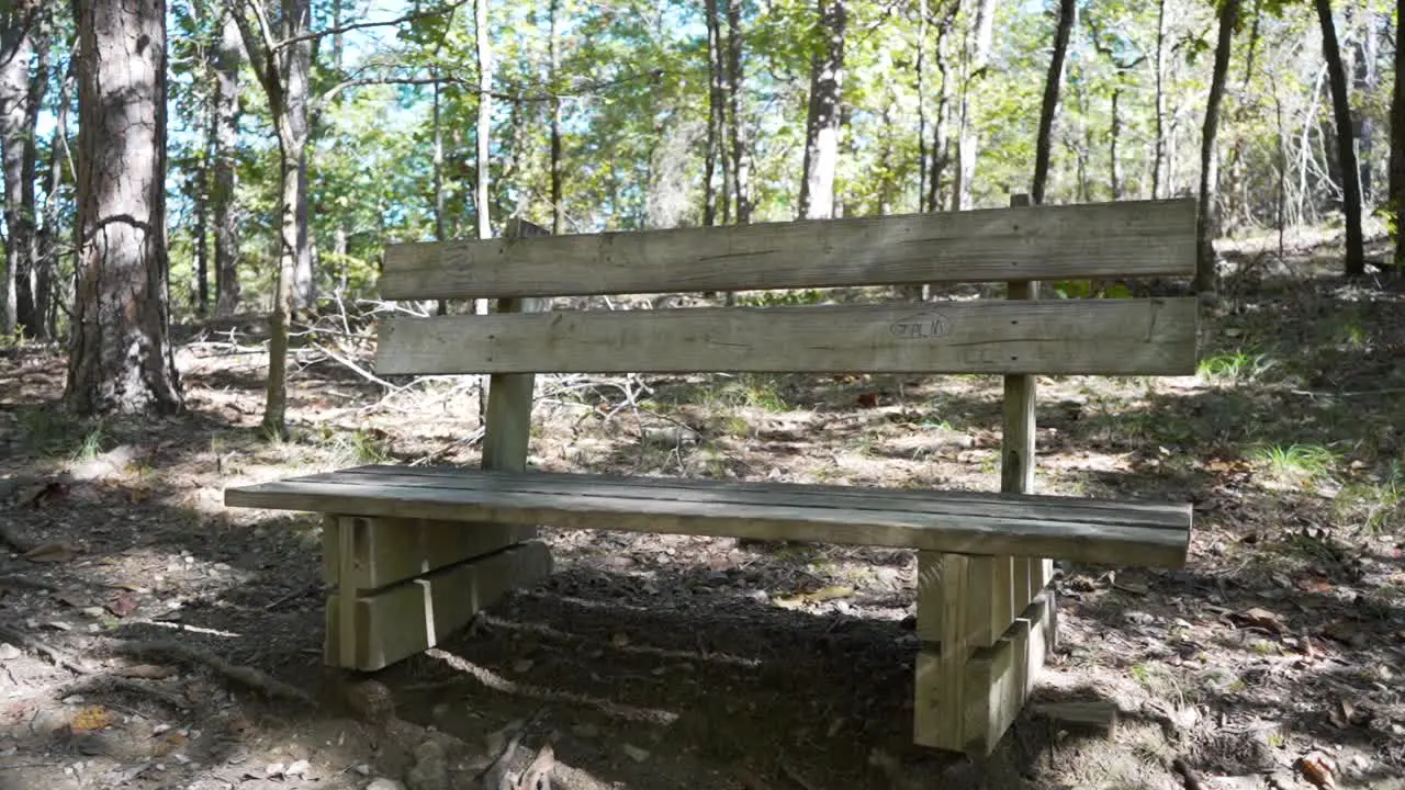 Bench found along a nature trail with carvings and writing on it inside Lake Catherine State Park