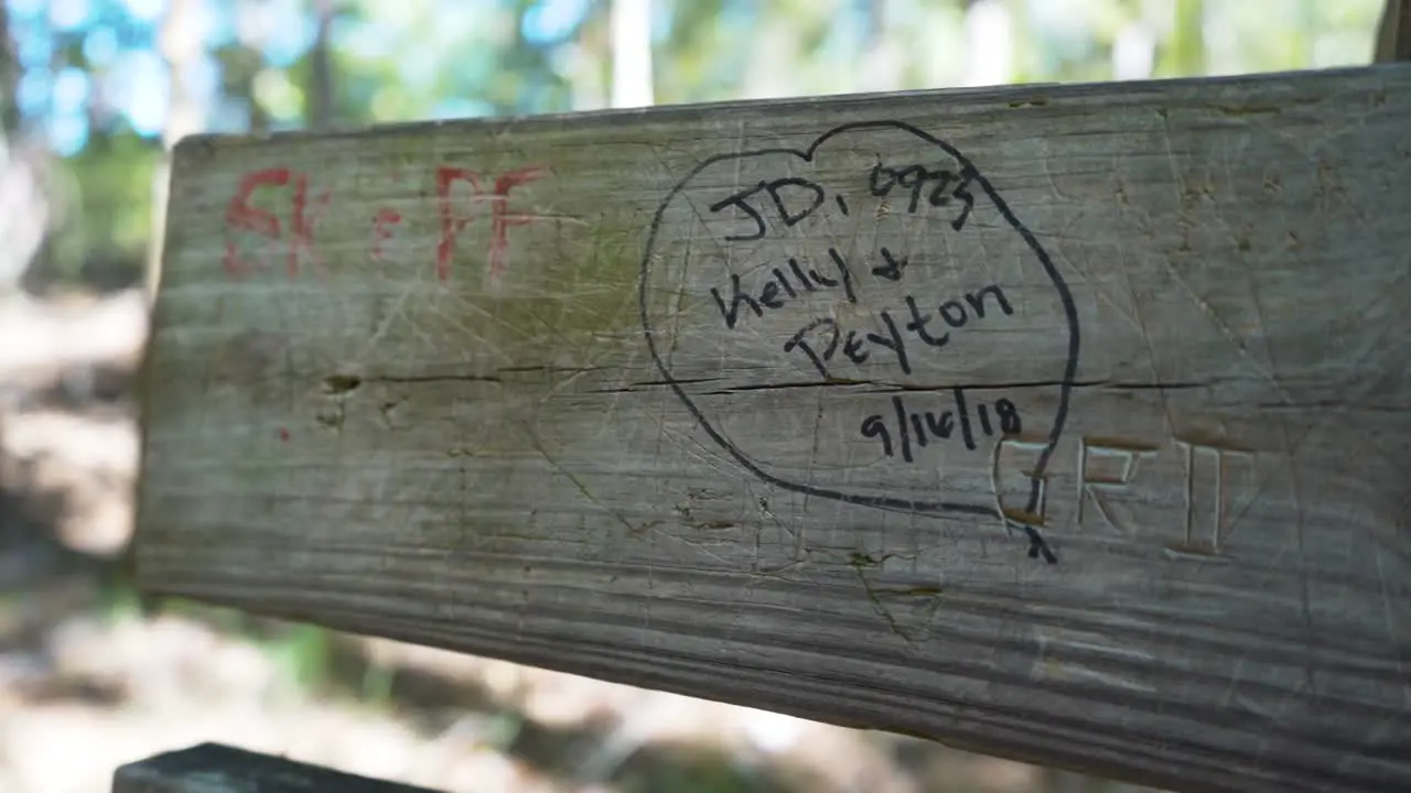 Graffiti written and carved into a bench on a nature hiking trail in Lake Catherine State Park