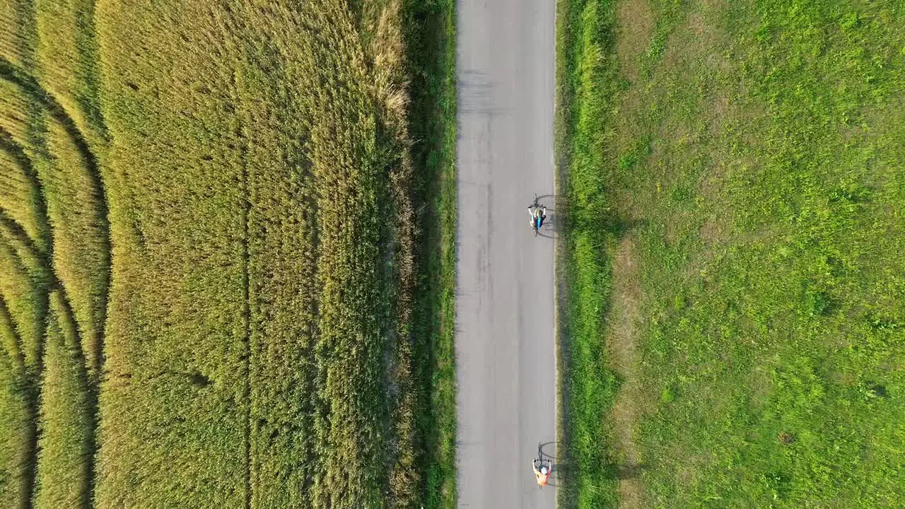 two cyclists riding on the road in the avenue of trees