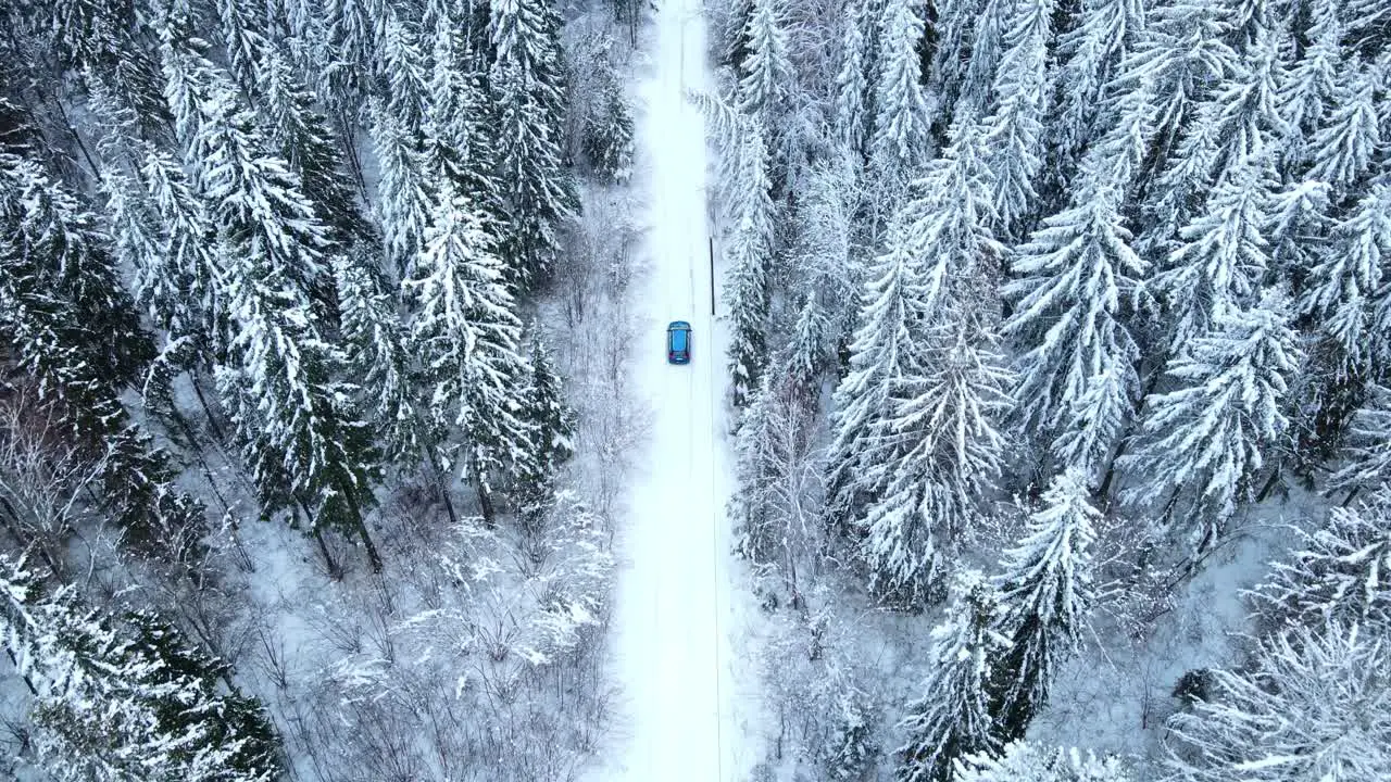 Drone flies behind the car filming from above around winter forest