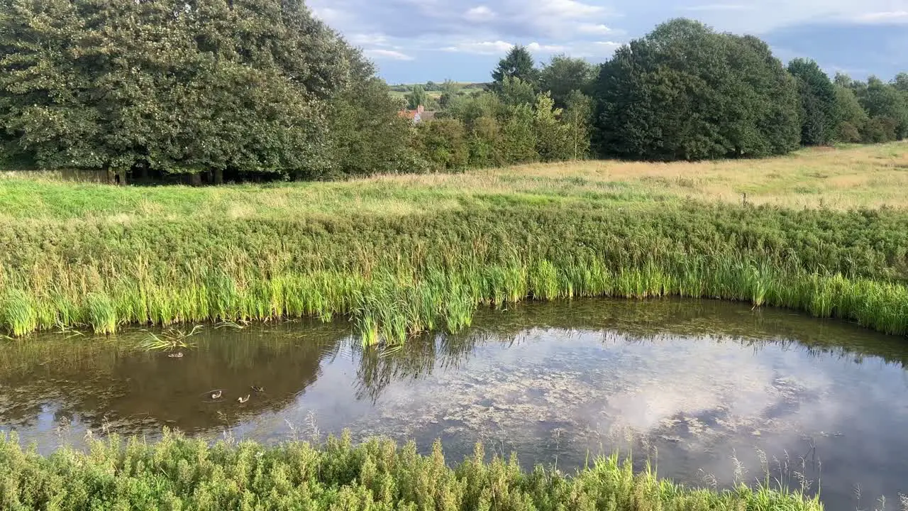 Moorland lake river flowing through the countryside