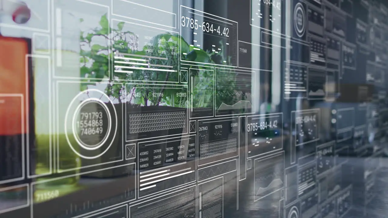 Animation of data processing over plants in pots in row at home