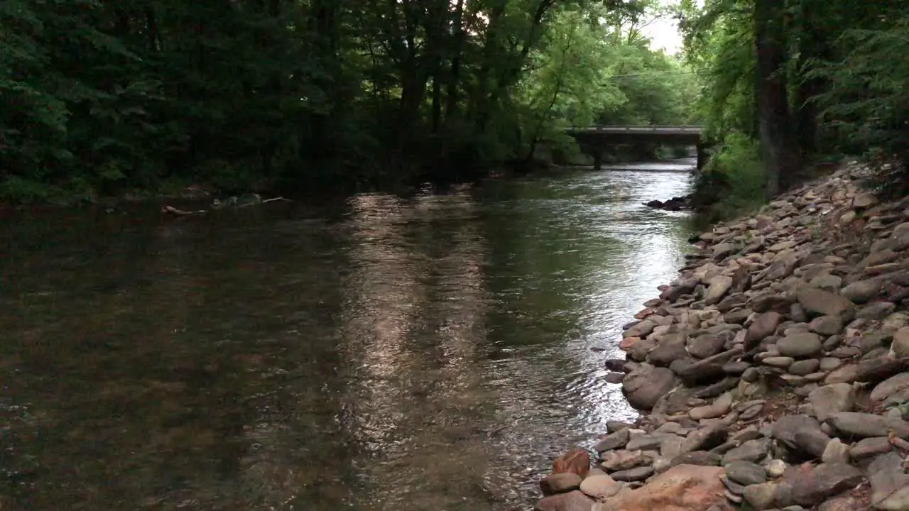 Flowing river through a dense forest