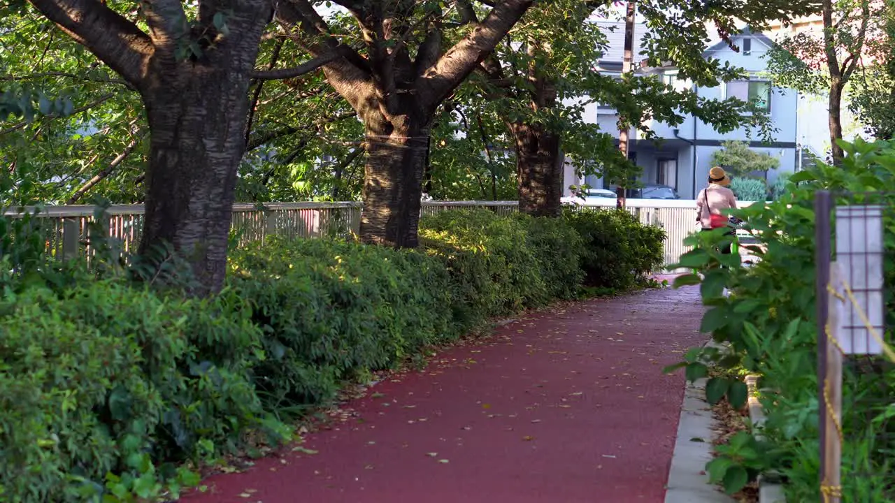 One of the main means of locomotion in Japan is the bicycle from children to elderly people use it all day long through different places and roads in the city