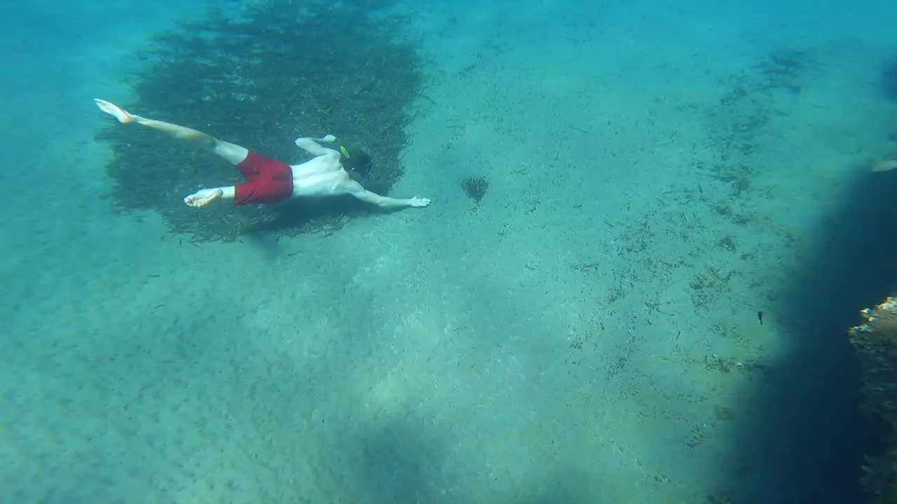 a young snorkeler is swimming deep underwater in the Mediterranean sea touching sand on the bottom