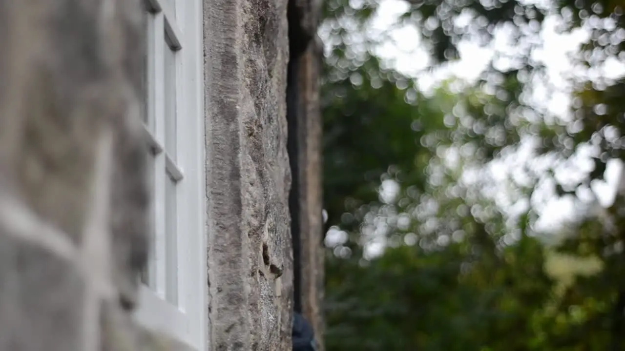 Woman hiker enters and exits an old building doorway in woodland