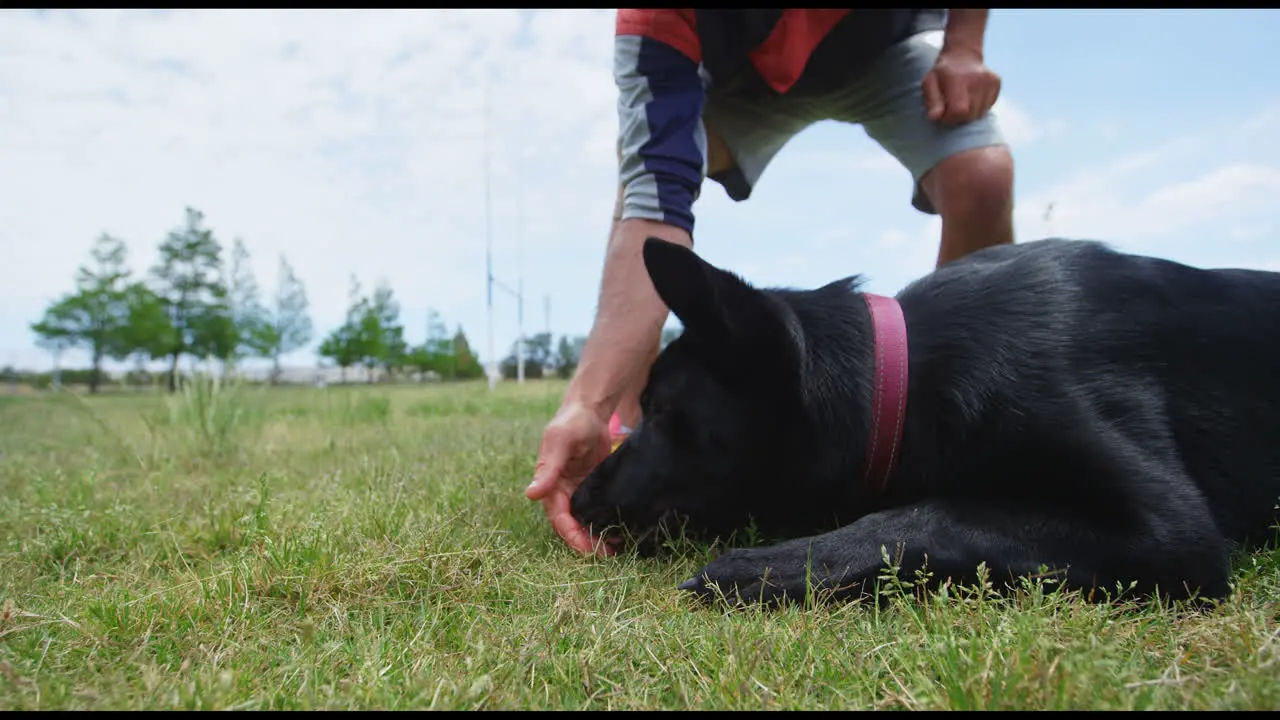 Trainer feeding food to his dog 4k