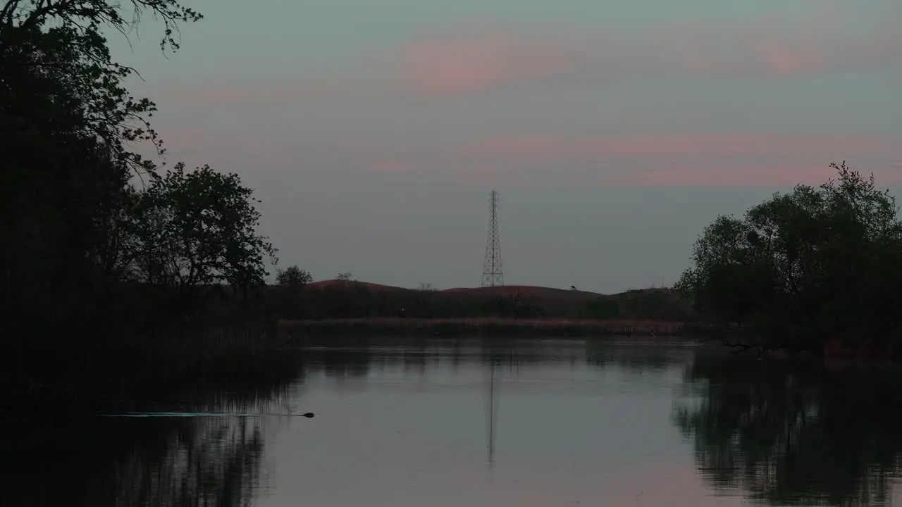 Twilight hour over a creek as a beaver swims out to the middle and slaps the water with its tail