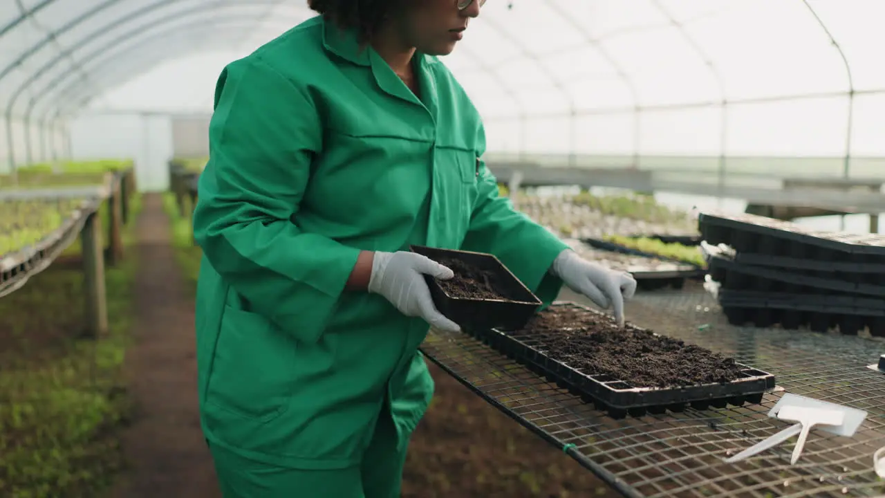 Greenhouse woman farmer and plant seeds