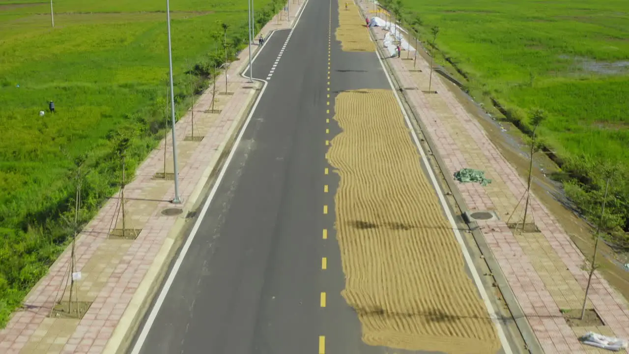 Drone view of the farmer is drying rice on a road in Khanh Hoa province central Vietnam