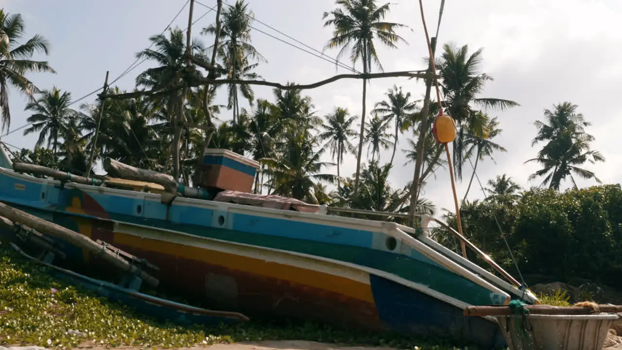 Fishing boat in Weligama Sri Lanka with palm trees in background