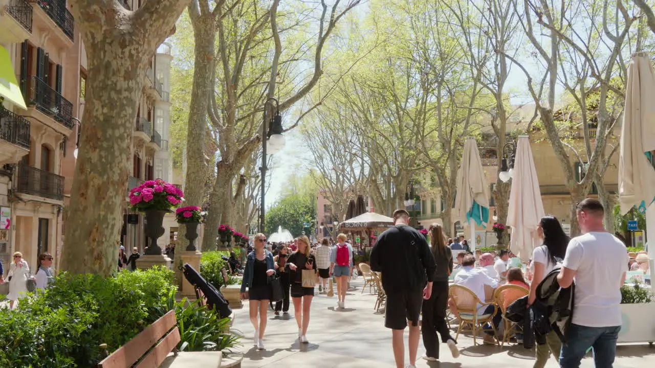 A sunny day at La Rambla in Palma de Mallorca bustling with people strolling down the famous promenade