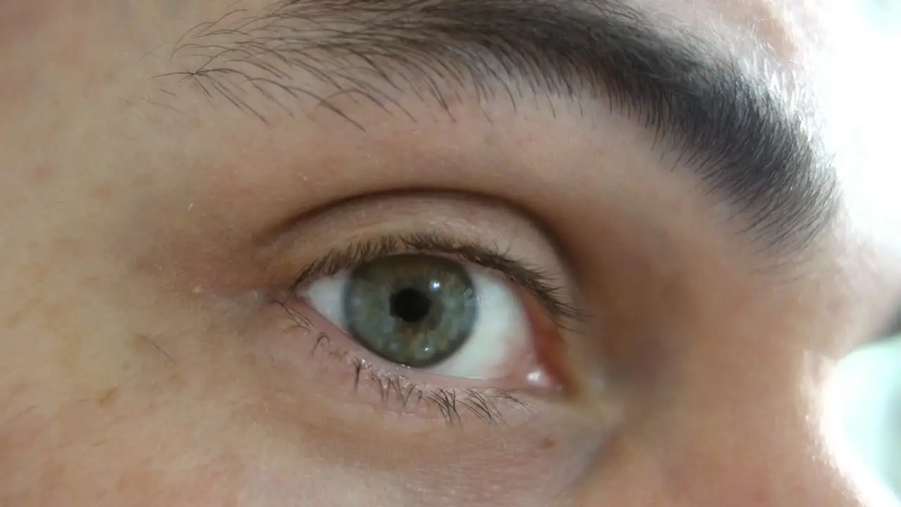 closeup side view of green human eye and