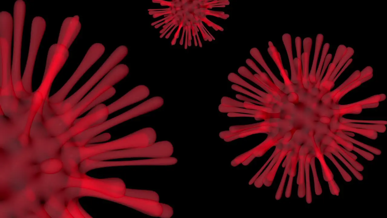 3D animation of red virus