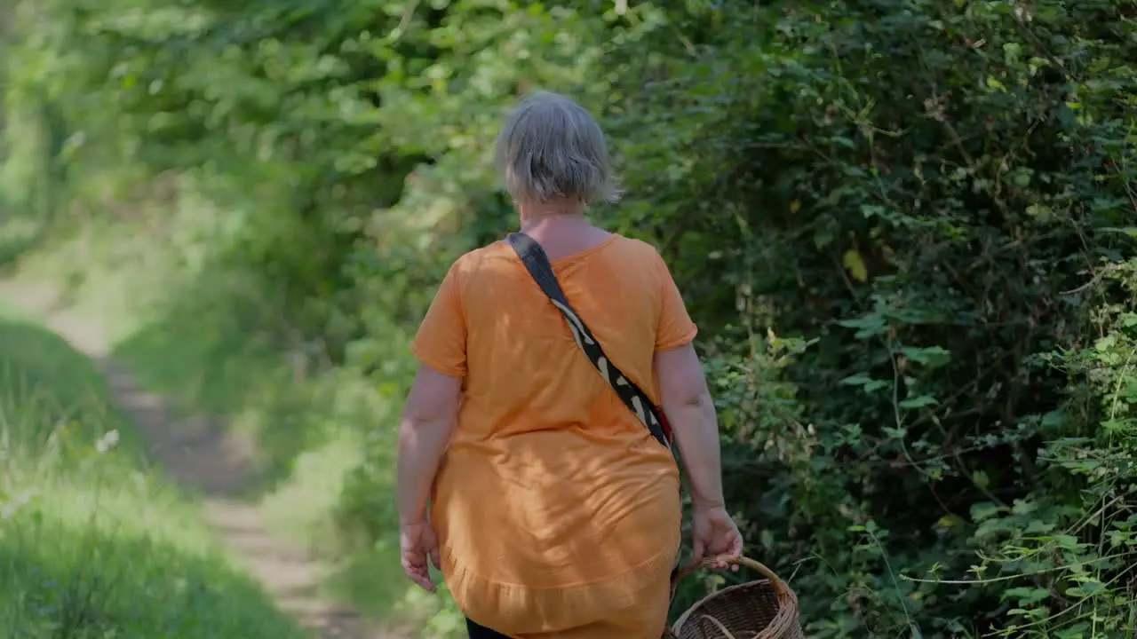 Fat older woman with orange T-shirt walking through the green forest holding a wooden basket on a bright sunny day at noon surrounded by trees in slow motion