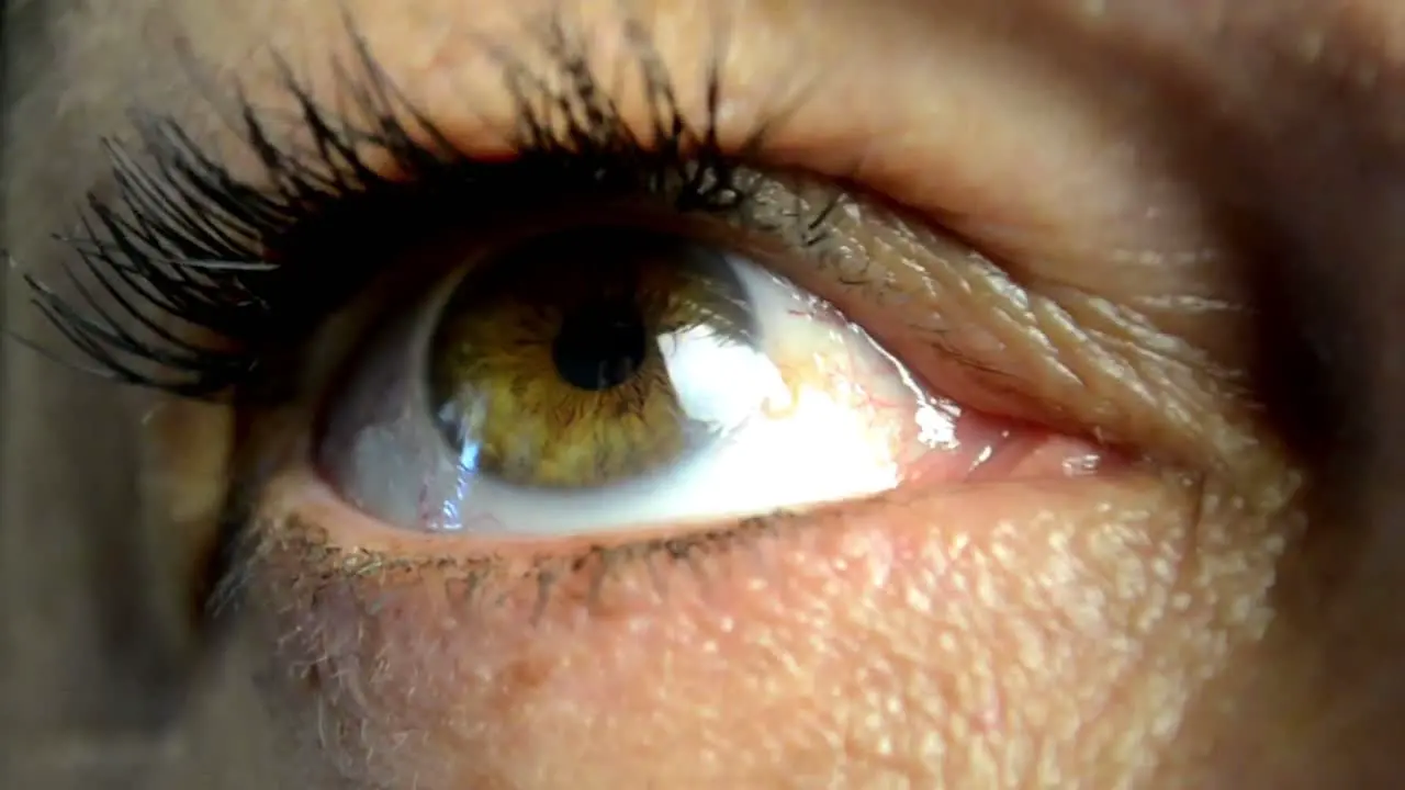 close up shot of a eye of a female with visible iris and blood capillaries