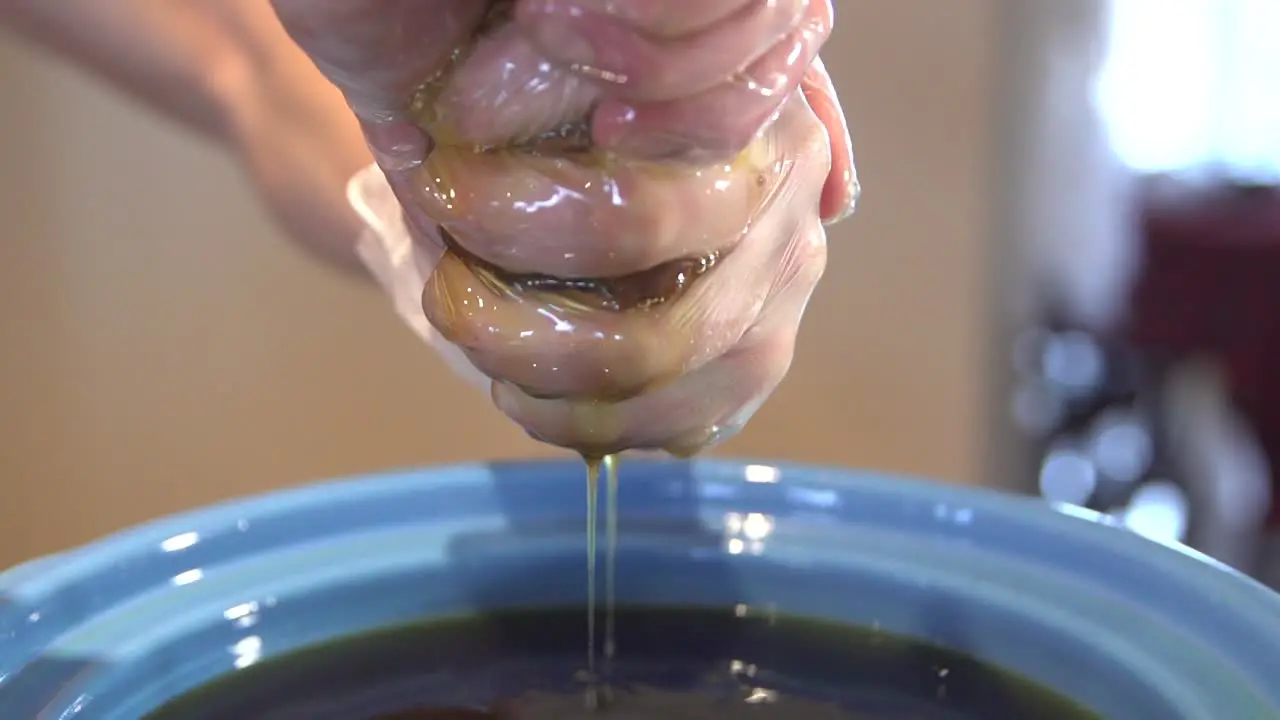 Squeezing infused cannabis oil out of Cannabis buds encased in pantyhose