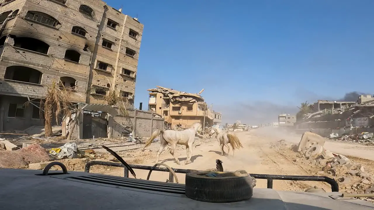 Distressed horses are startled by ADF Humvee amid the destroyed streets of Gaza