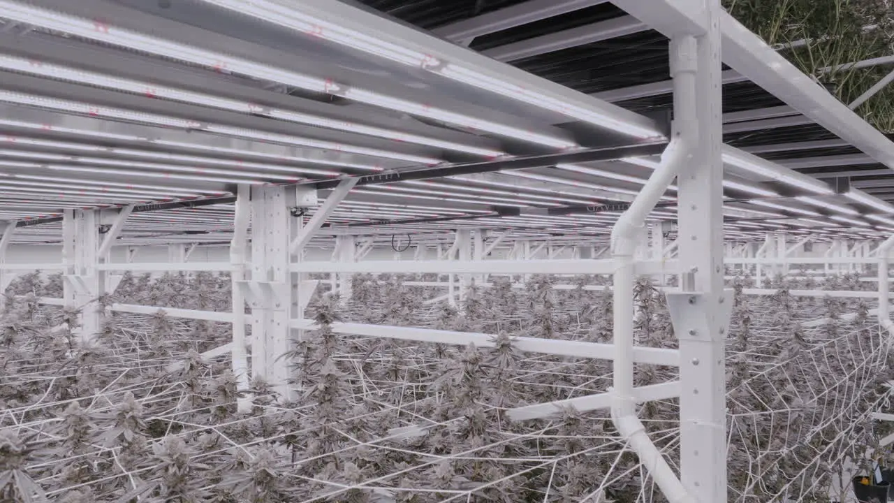 Descending shot revealing modern Cannabis growing facility in California