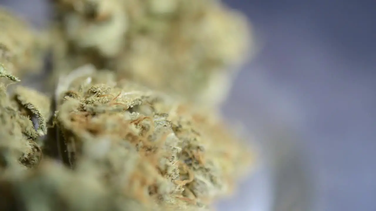 Close up macro rotating right shot of ready to smoke marjuana weed bud that were grown organically