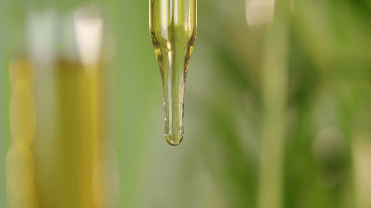 Pipette dropper with yellow green liquid and a green blurred background