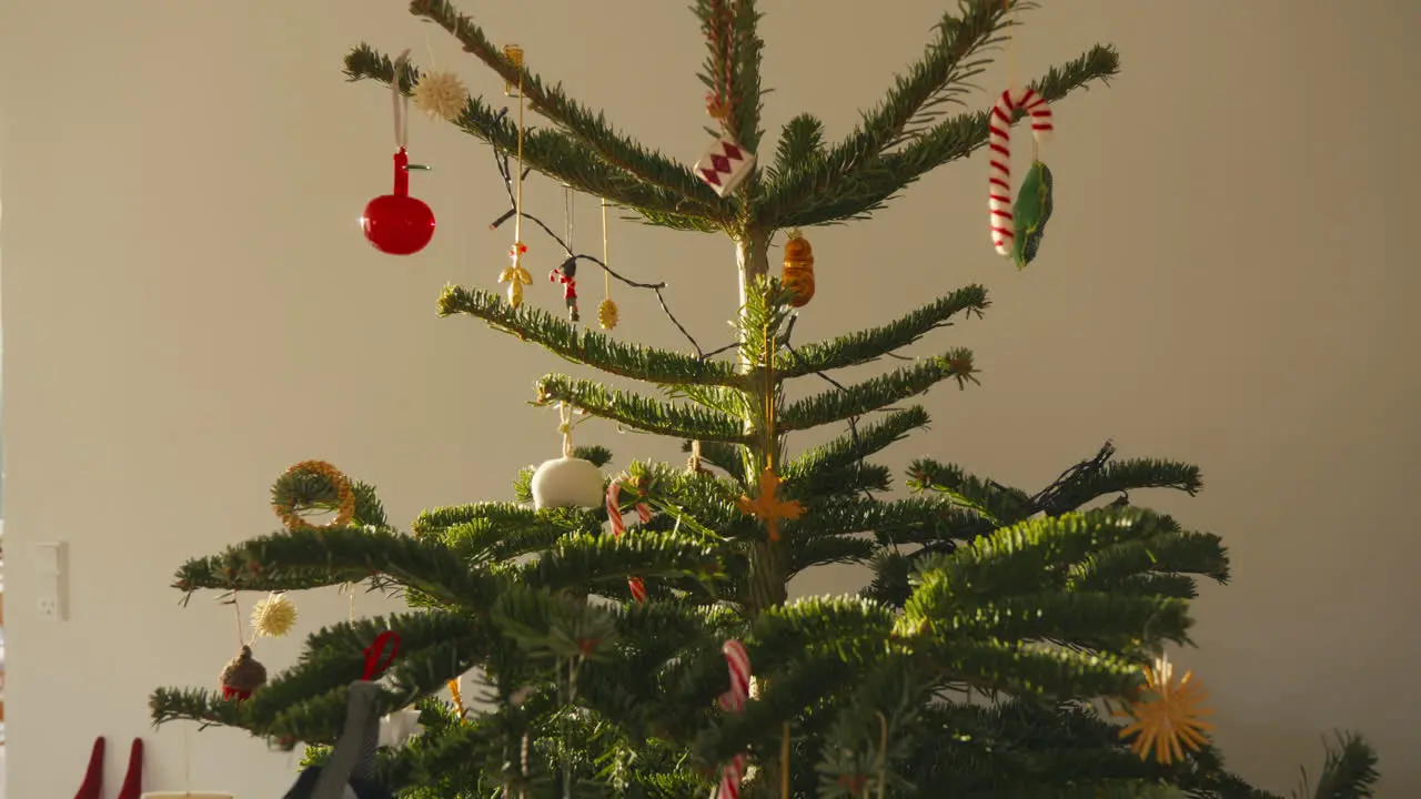 Decorated Christmas tree adorned with an assortment of traditional ornaments