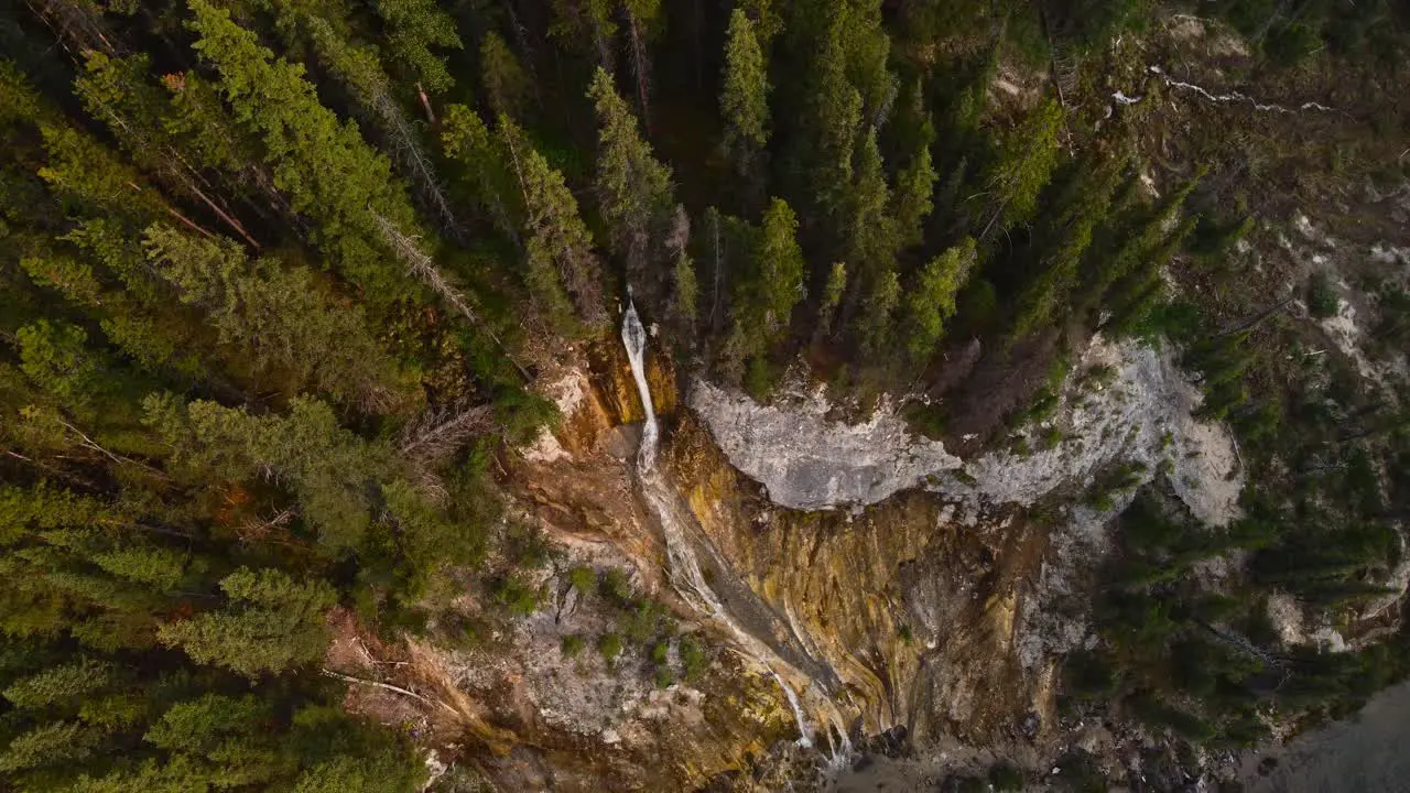 Waterfall and forest from above