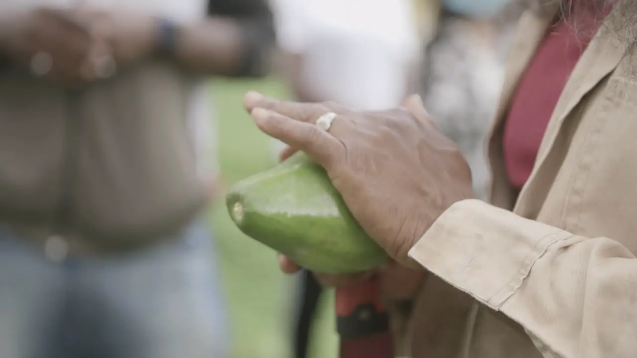 Slow motion footage of a person's hands wiping off the outside of a cacao fruit