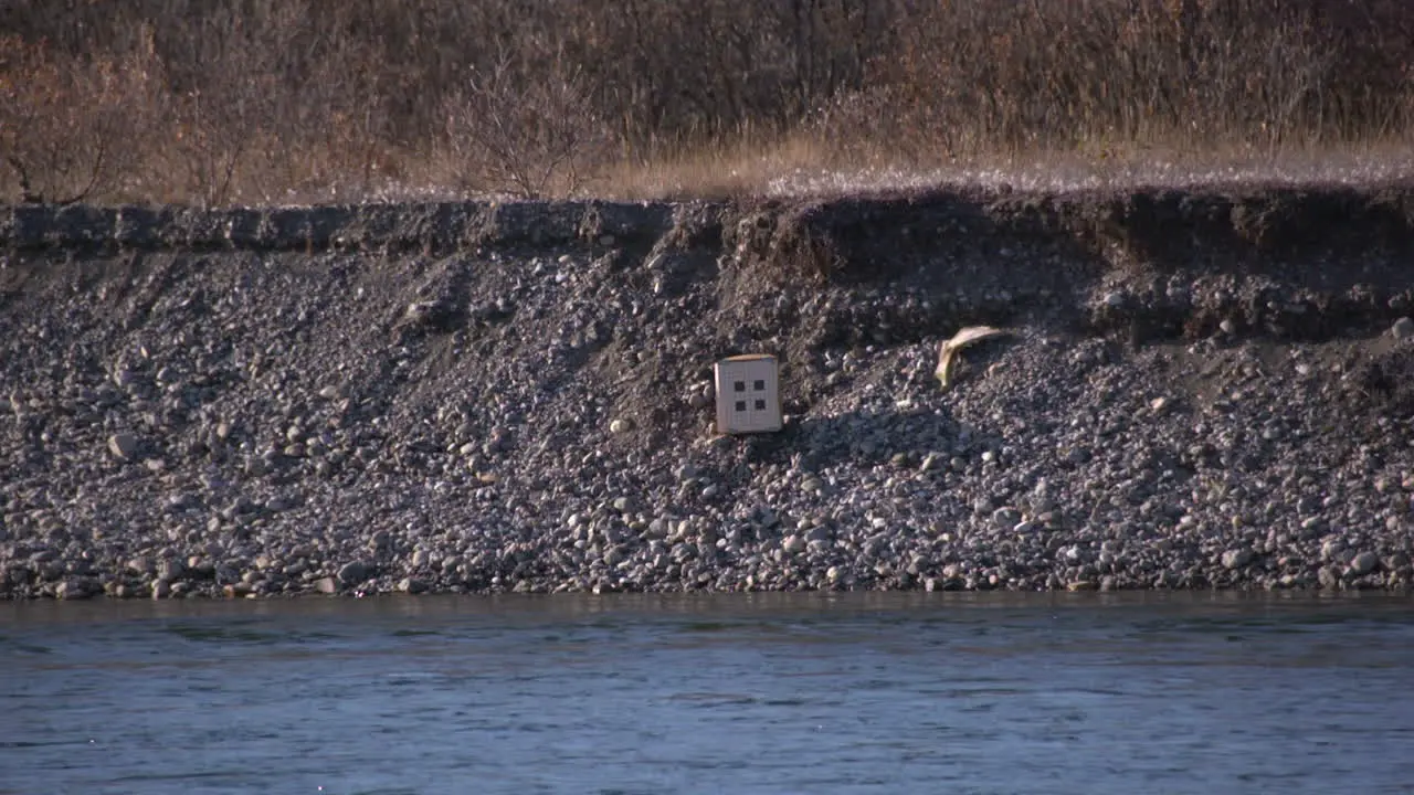 a slow motion shot of shooting a target