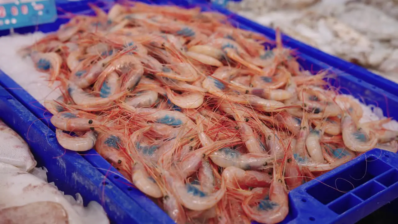 Close up of fresh red prawns with roe in fishmonger's shop