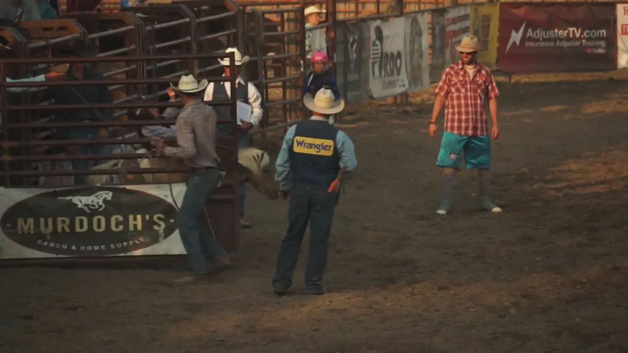 Cowboys Participant in a Steer wrestling Competition at Montana rodeo