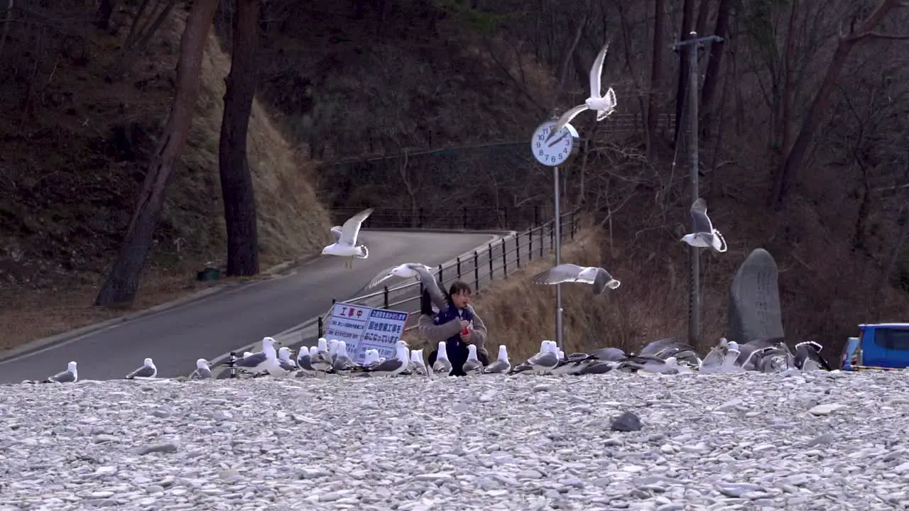 Asian mother and daughter feeding seagulls on beach while laughing