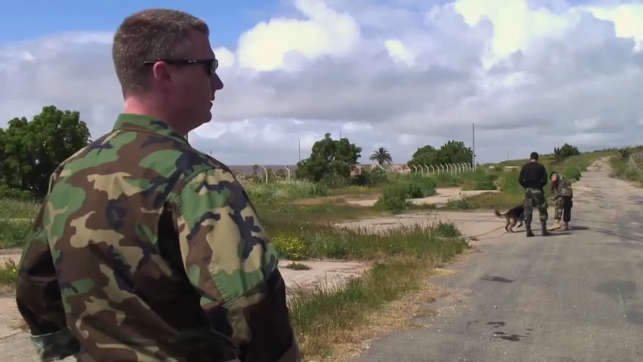 Dogs Are Trained By Uruguays Security And Military 1