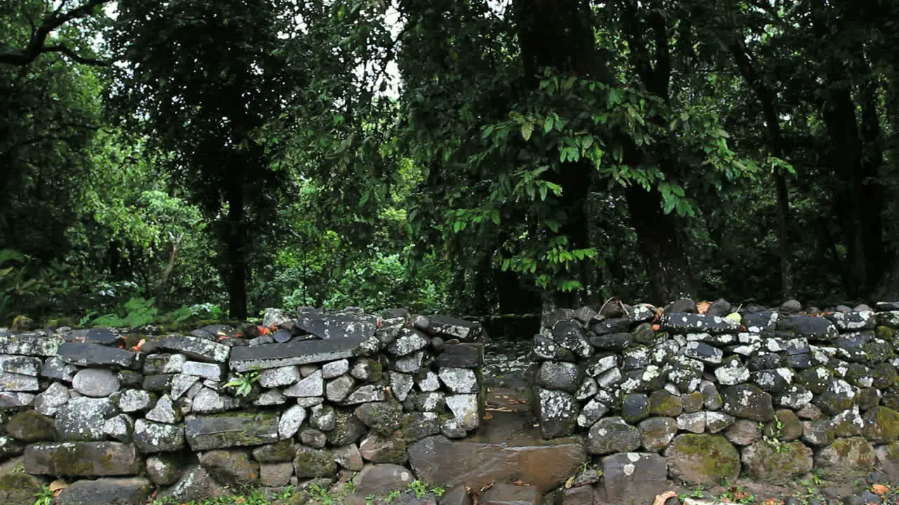 Moorea Opening in a marae wall