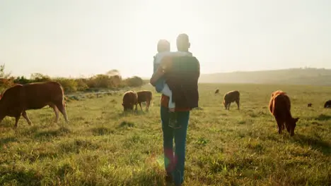 Family farm and cattle with a girl